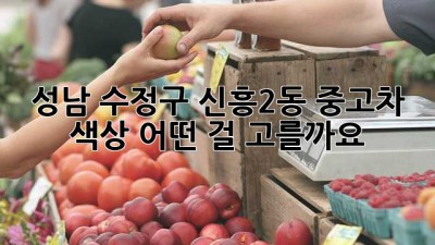 성남 수정구 신흥2동 중고차 색상, 어떤 걸 고를까요? 🤔