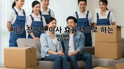 세종 장군면 이사, 효율적으로 하는 방법